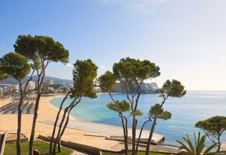 Melia_Calvia_Beach-Calvia_-_Magaluf-Aussenansicht-1-11826.jpg - CalviaBeach