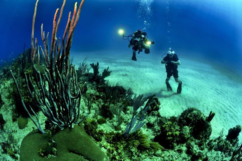 ZOEA Mallorca Dive Center