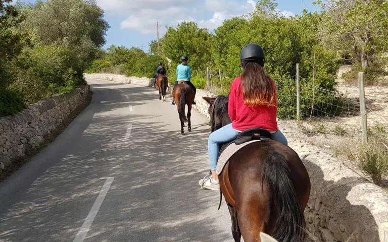 Holidaying on a Horse Farm, Mallorca Horses riding