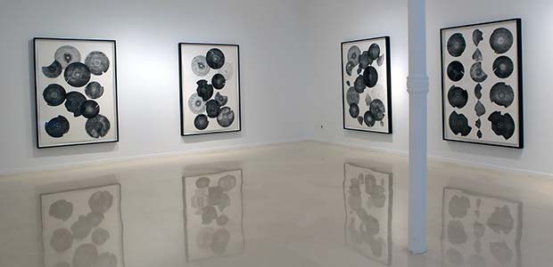 galeria pelaires palma