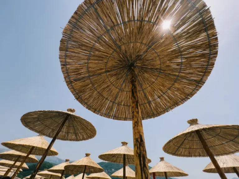 Cala Vinyes Beach Calvia Mallorca