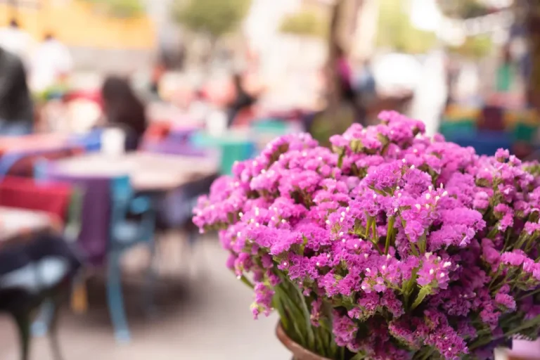Flowers Markets in Mallorca